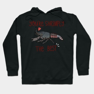 You’re Shrimply the Best Hoodie